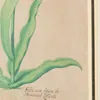 Schuler Auktionen AG - Pieter Holsteyn d.J.