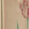 Schuler Auktionen AG - Pieter Holsteyn d.J.