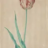 Schuler Auktionen AG - Pieter Holsteyn d.J.