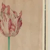 Schuler Auktionen AG - Pieter Holsteyn d.J.