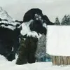 Schuler Auktionen AG - Guy Bardone 