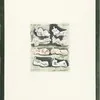 Schuler Auktionen AG - Henry Moore