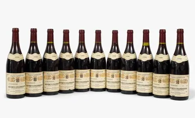 Schuler Auktionen AG - Gevrey-Chambertin, 1998