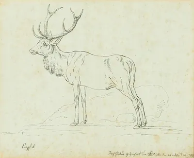 Schuler Auktionen AG - Joseph Georg Winter