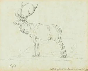 Schuler Auktionen AG - Joseph Georg Winter