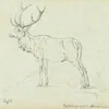 Schuler Auktionen AG - Joseph Georg Winter