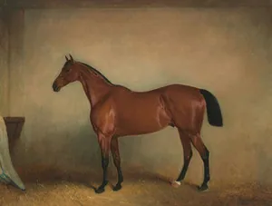 Schuler Auktionen AG - Claude Lorraine Ferneley